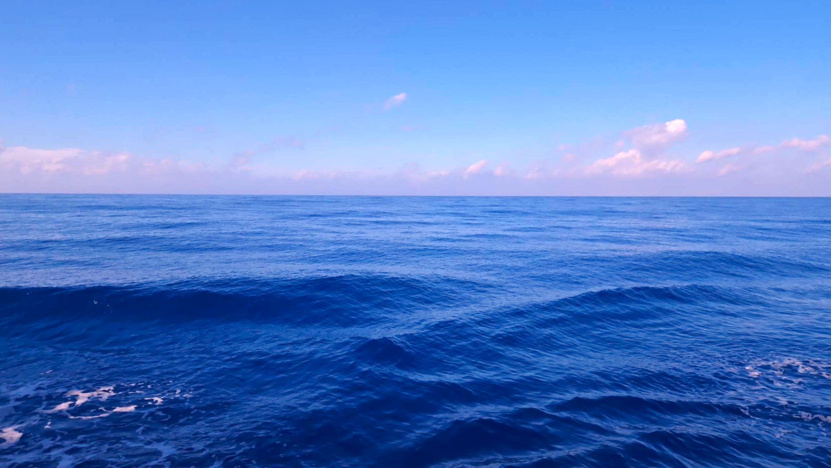 研究支援方向 主視覺（淡色海天全景）